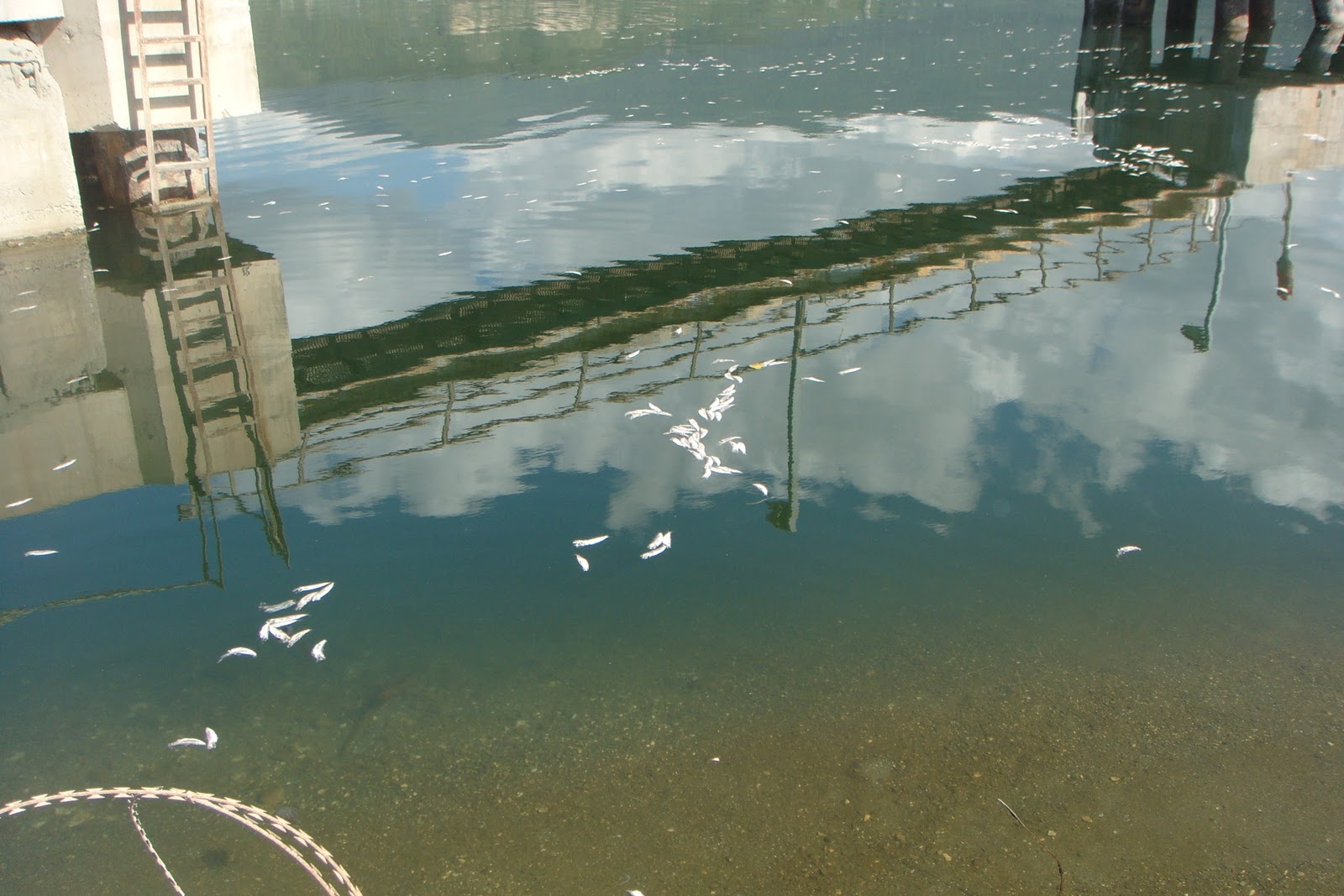 Pollution In Kingston, Jamaica Pollution In Kingston, Jamaica