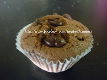 ChocolateChip Muffin