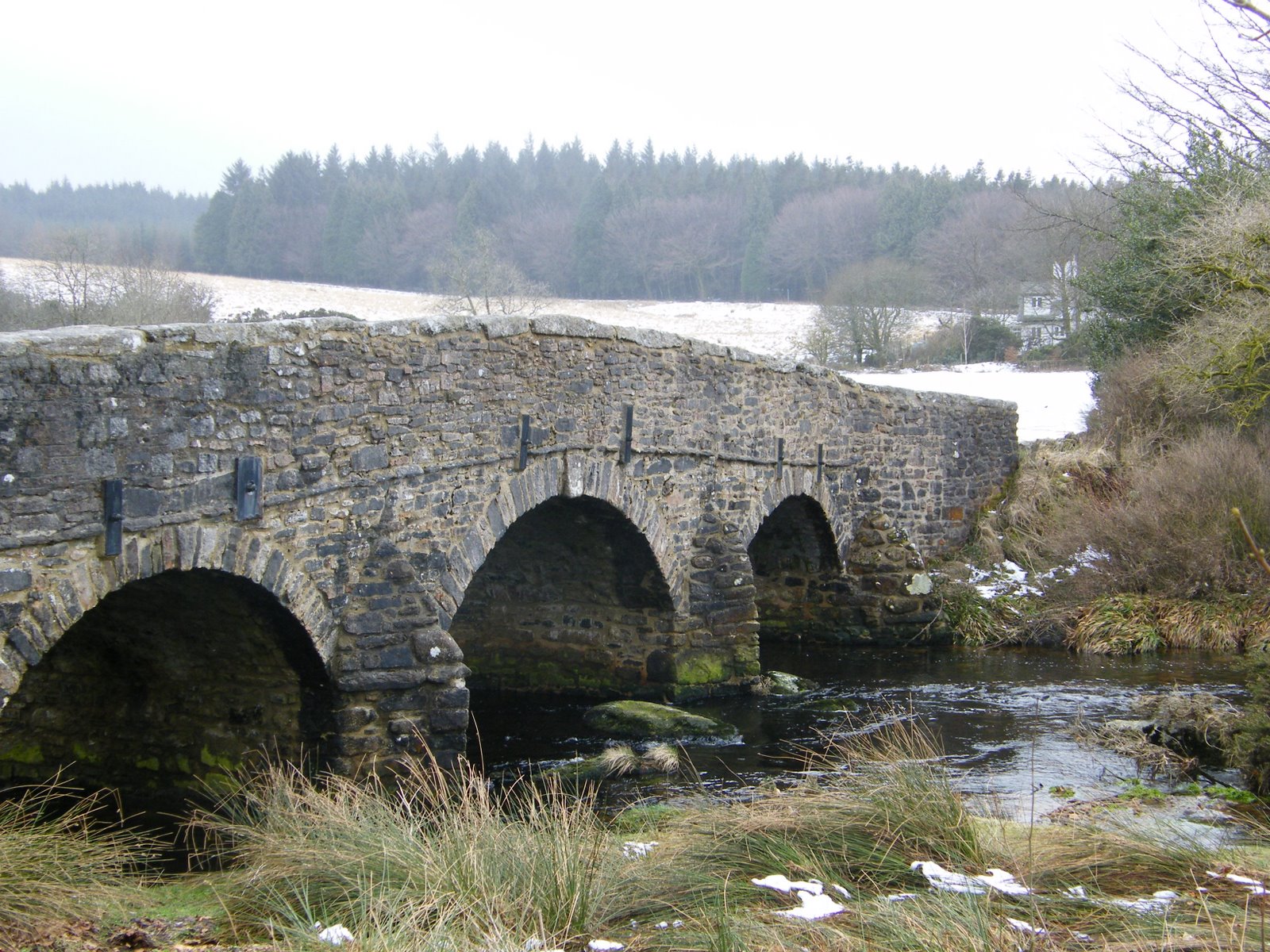 [2009_0311_England_09_0099.JPG]