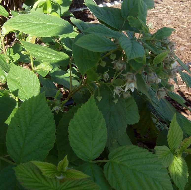 [Summer2009+113.jpg]