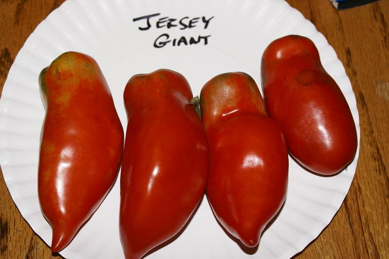 Heirloom Tomatoes and other Goodies Favorites for 2010
