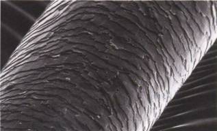 How To Protect Thin Hair From Sun Damage Naturally How To Protect Thin Hair From Sun Damage Naturally