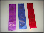 First  AKC ribbons, Vermont, July 08
