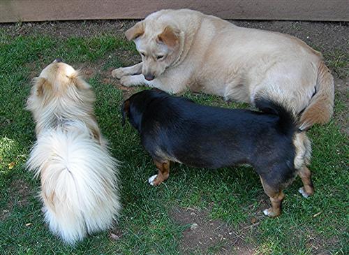 [9572224b9f4b967d41549a950fd9a41e18b3.jpg]