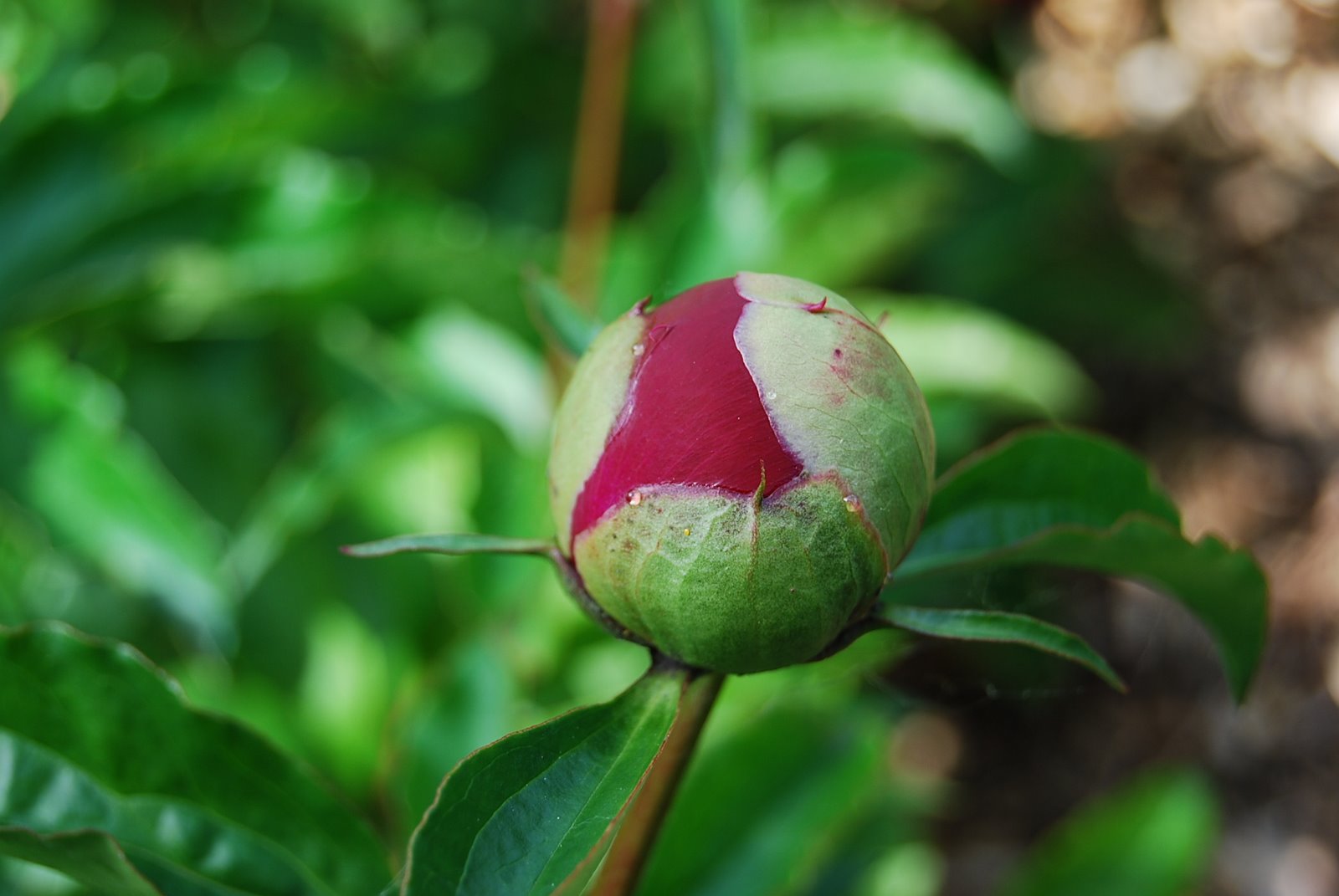 [DSC_0035.JPG]