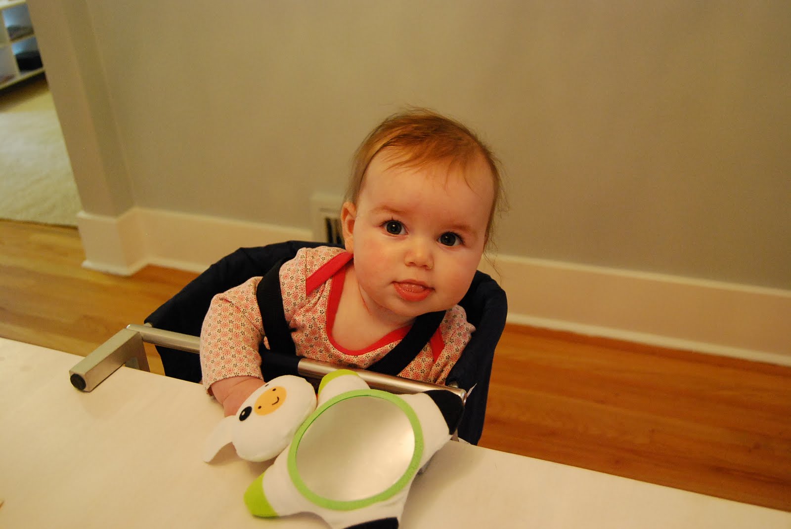 [DSC_0264.JPG]