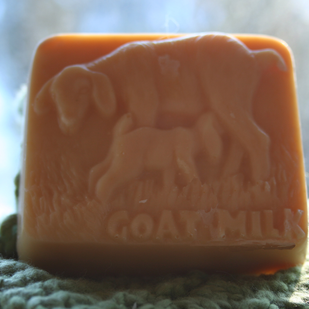 [happy+goats+soap+188.JPG]