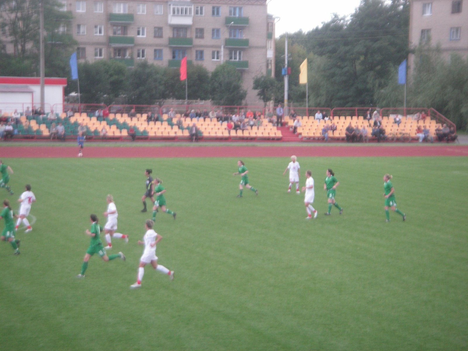 [PICT1033.JPG]
