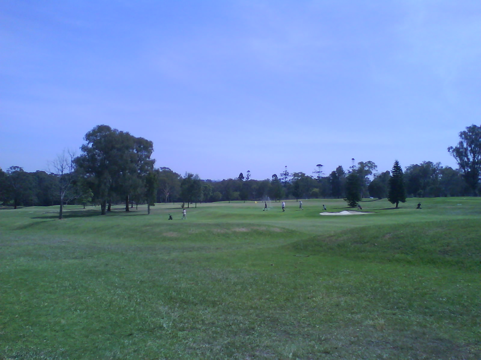 [DSC05867.JPG]