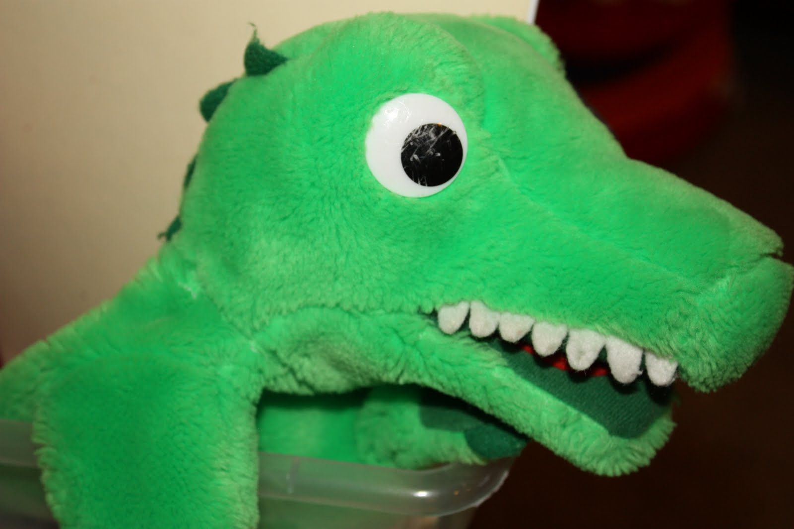 sunshine-preschool-teasing-mr-alligator