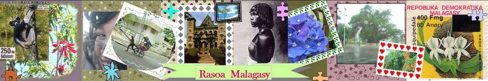 Rasoa Malagasy