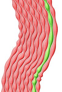 [RhinoScirpt_med.jpg]