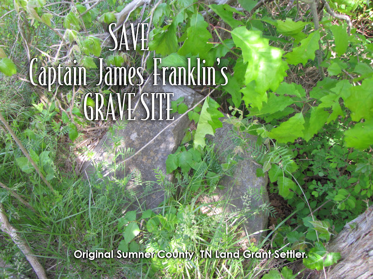Save Captain James Franklin's Grave