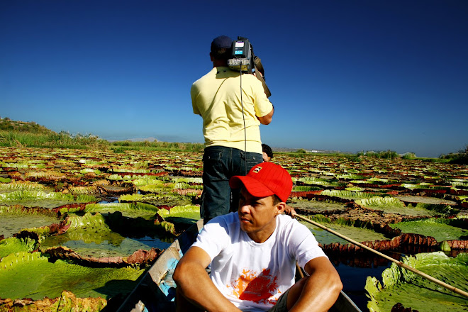 Gravando Vitória Régias