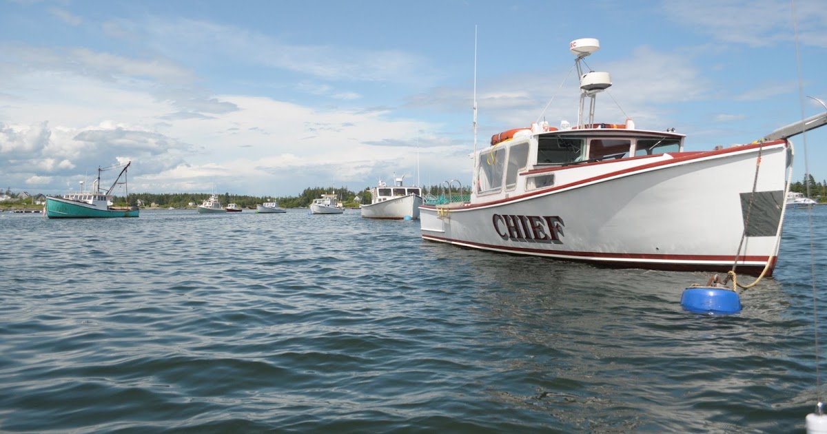 Marine Forecast Jonesport Maine