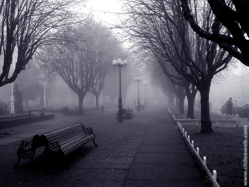 [plaza_niebla_800[1].jpg]