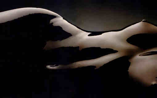 [cuerpos_desnudos_con_arte_04[1].jpg]