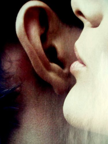 [2670165716_071e4e0092.jpg]