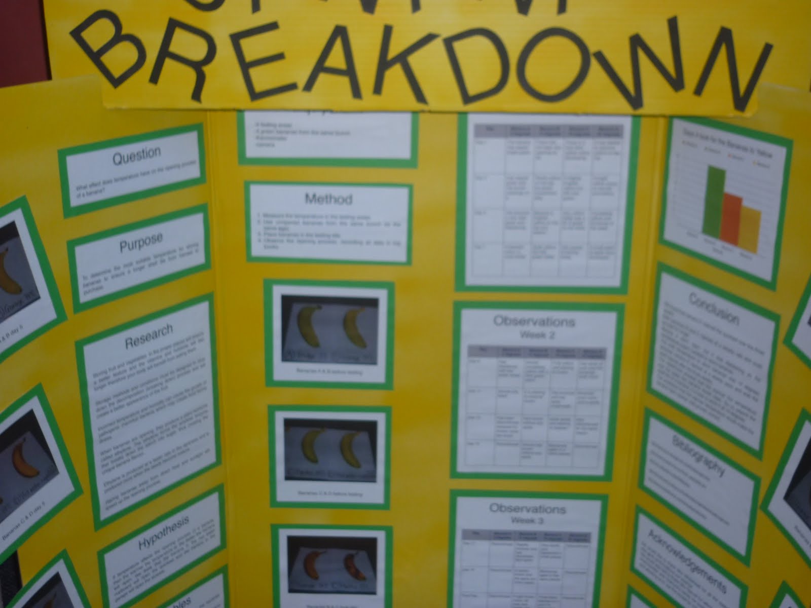 Huia 1 - Our History 2009 - 2014: Science Fair Projects