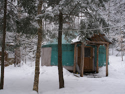 Falls Brook Yurts