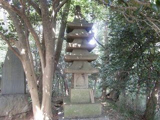 �V���􋟗{��