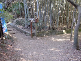 �V���n�C�L���O�R�[�X