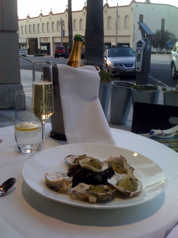 [Oysters+and+champagne.jpg]