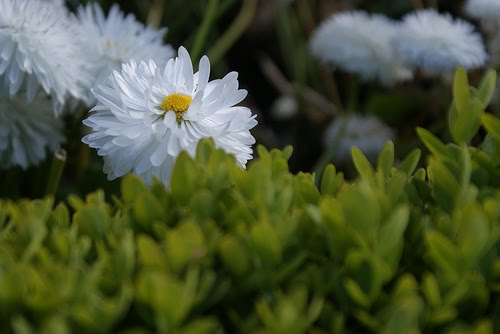 [3579470366_2690939cfc.jpg]