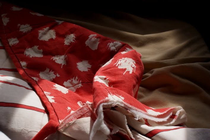 [3976489819_75e1b390d7_o.jpg]