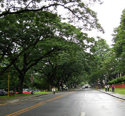 Roxas Avenue, University of the Philippines - Diliman