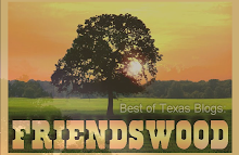 Best Of Texas Blogs: Friendswood, Texas