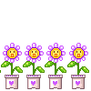 [flor-029.gif]