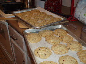 Quinoa and Cranberry Cookies