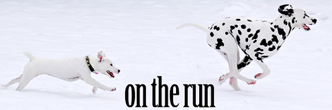 On the run