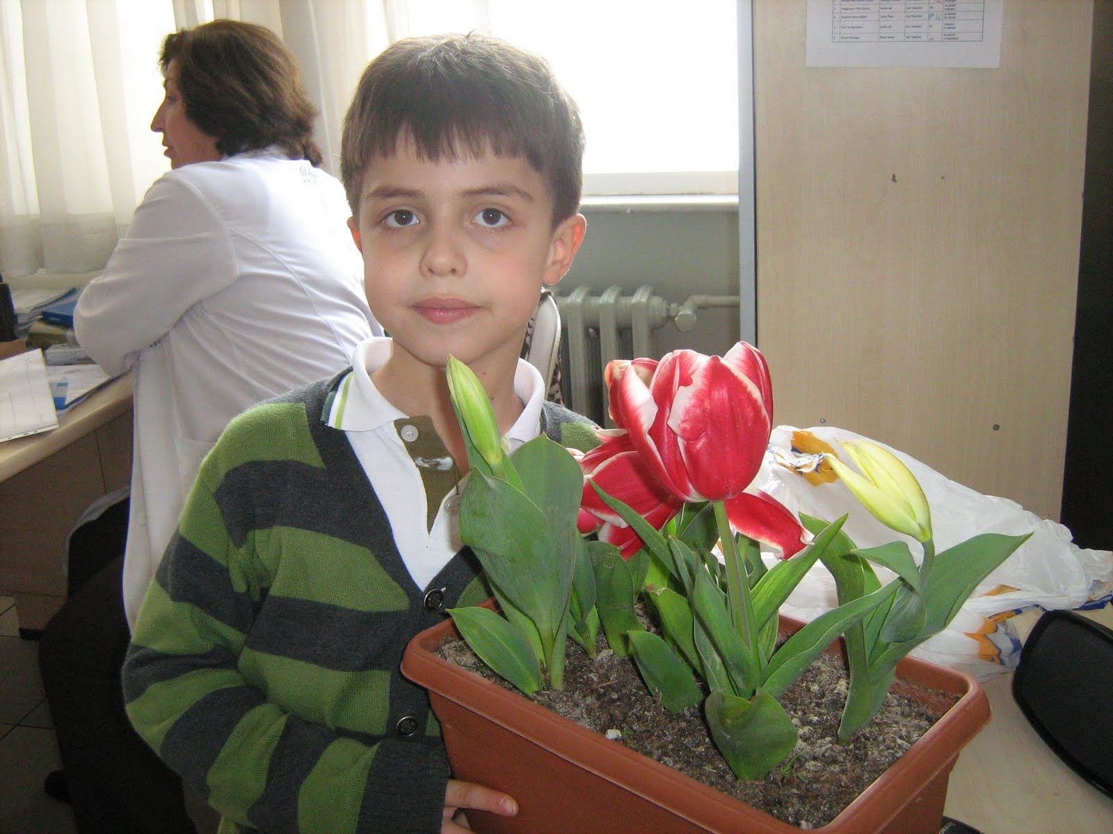 Özlem�in Doğası Lale Bahçemiz