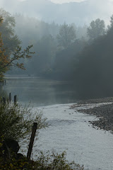 The River
