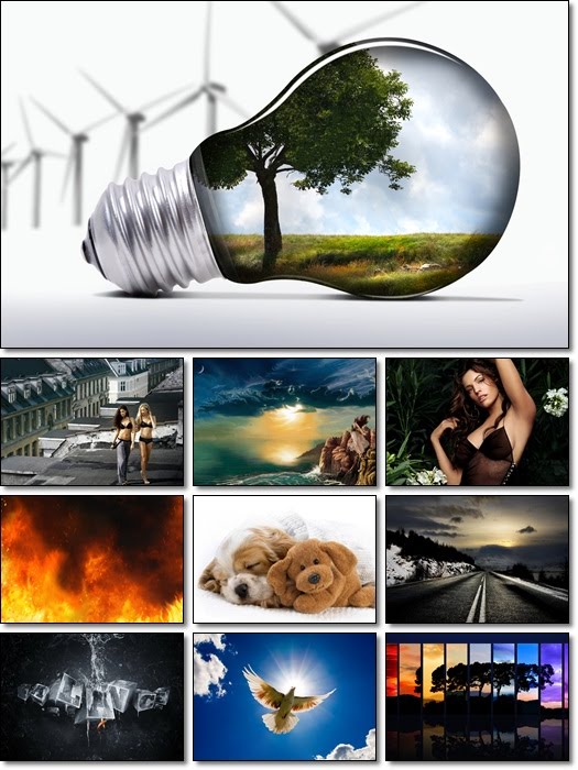 All Wallpaperz Free: 1/17/10 - 1/24/10