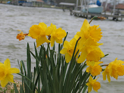 Windy Start to Spring..Mar 18