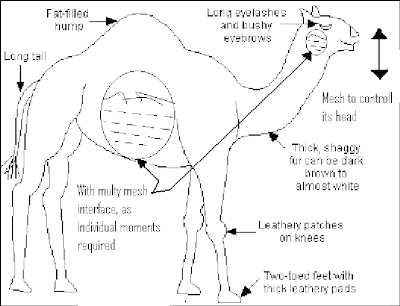 SENSONICS: A camel design here with multi liquid system interface