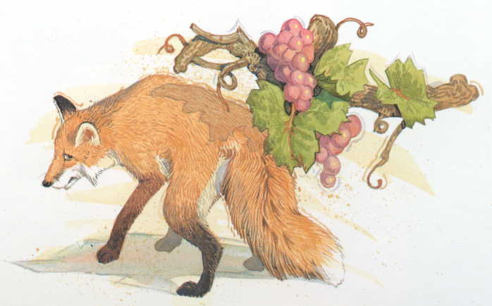 [Aesop_Fox&Grape.jpg]