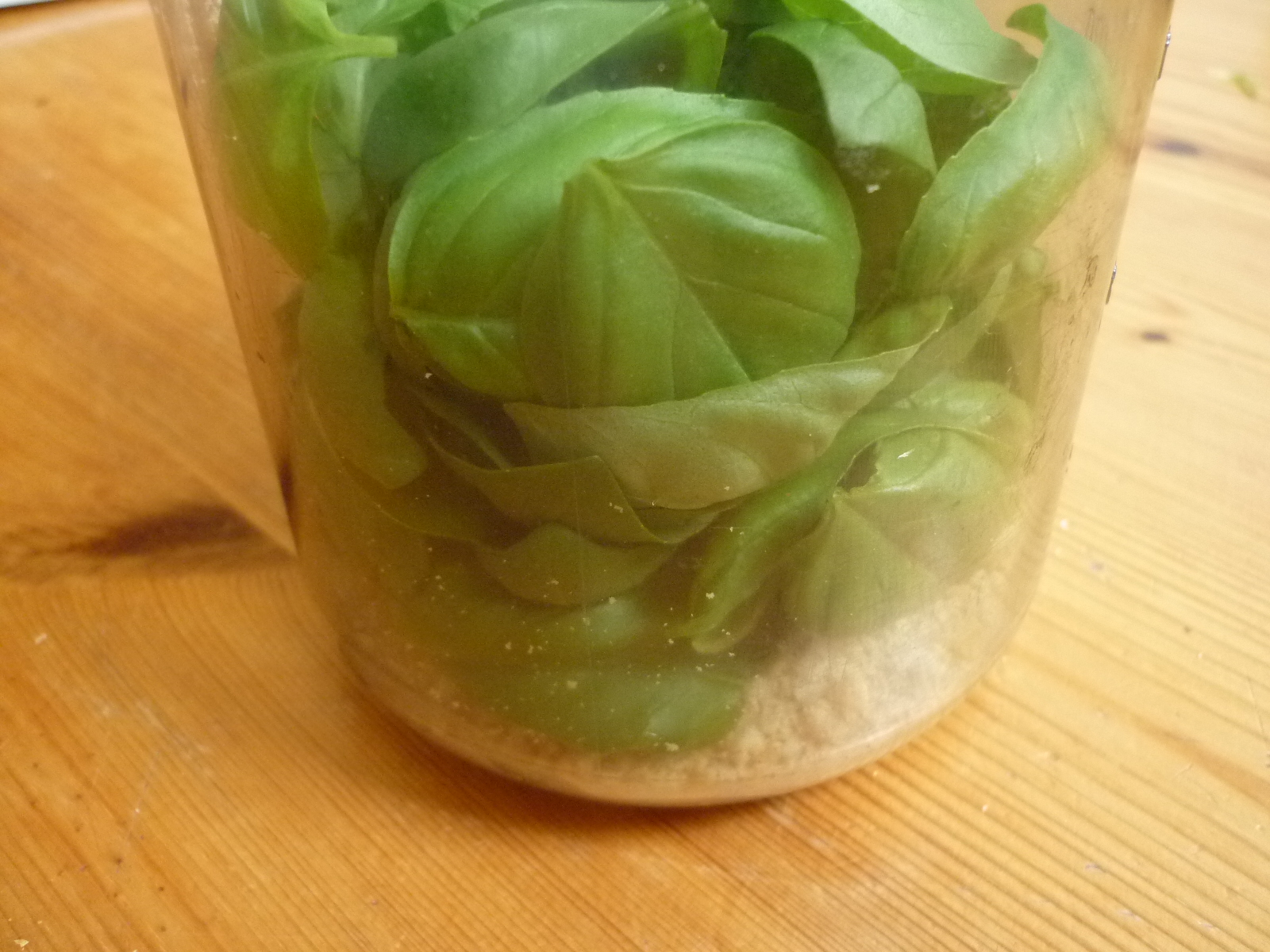 Erdnuss - Basilikum - Pesto