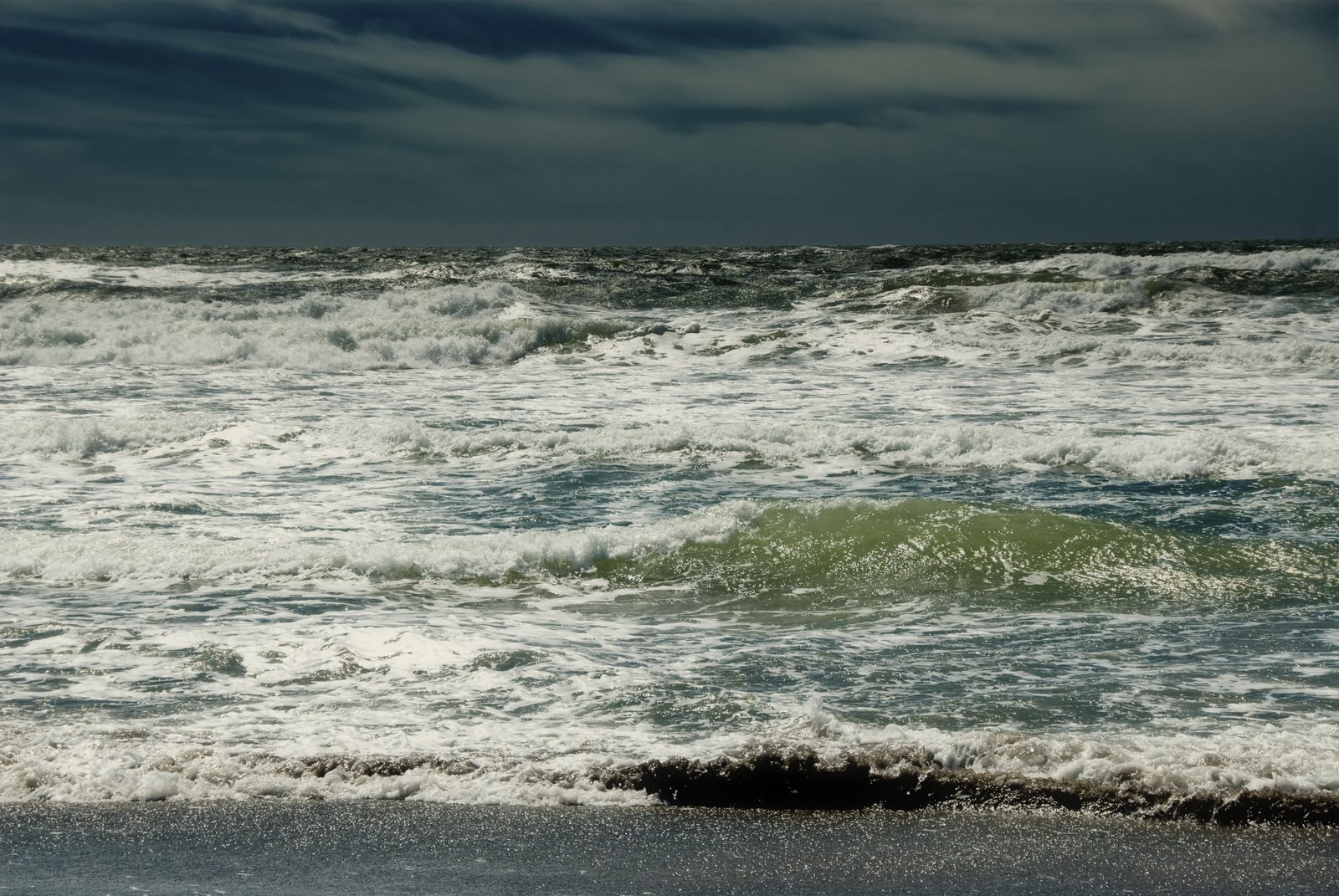 [sea+II+(1+of+1).jpg]