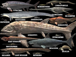 Comparativa tamaño peces prehistóricos