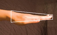 Side view of a hand