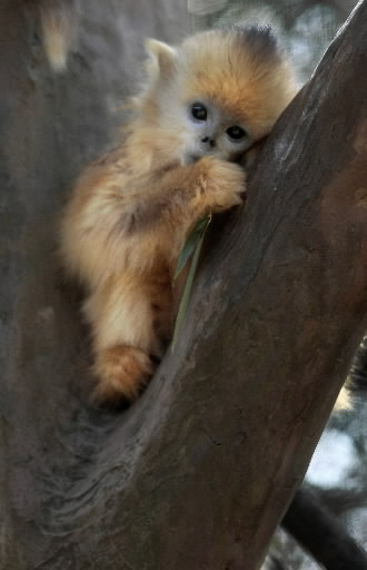 I'm So Cute