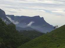 RIO D0 BRAÇO