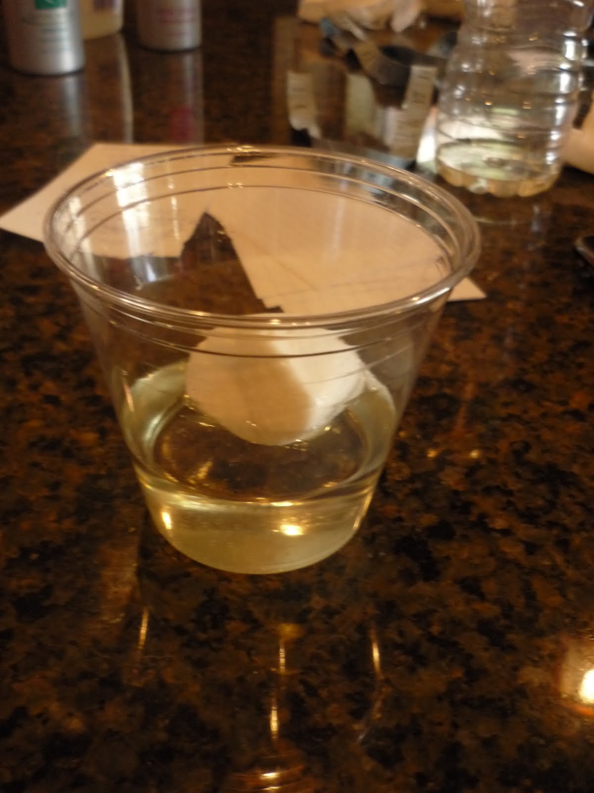 Chemistry Blog Marshmallow Chemical vs. Physical Changes