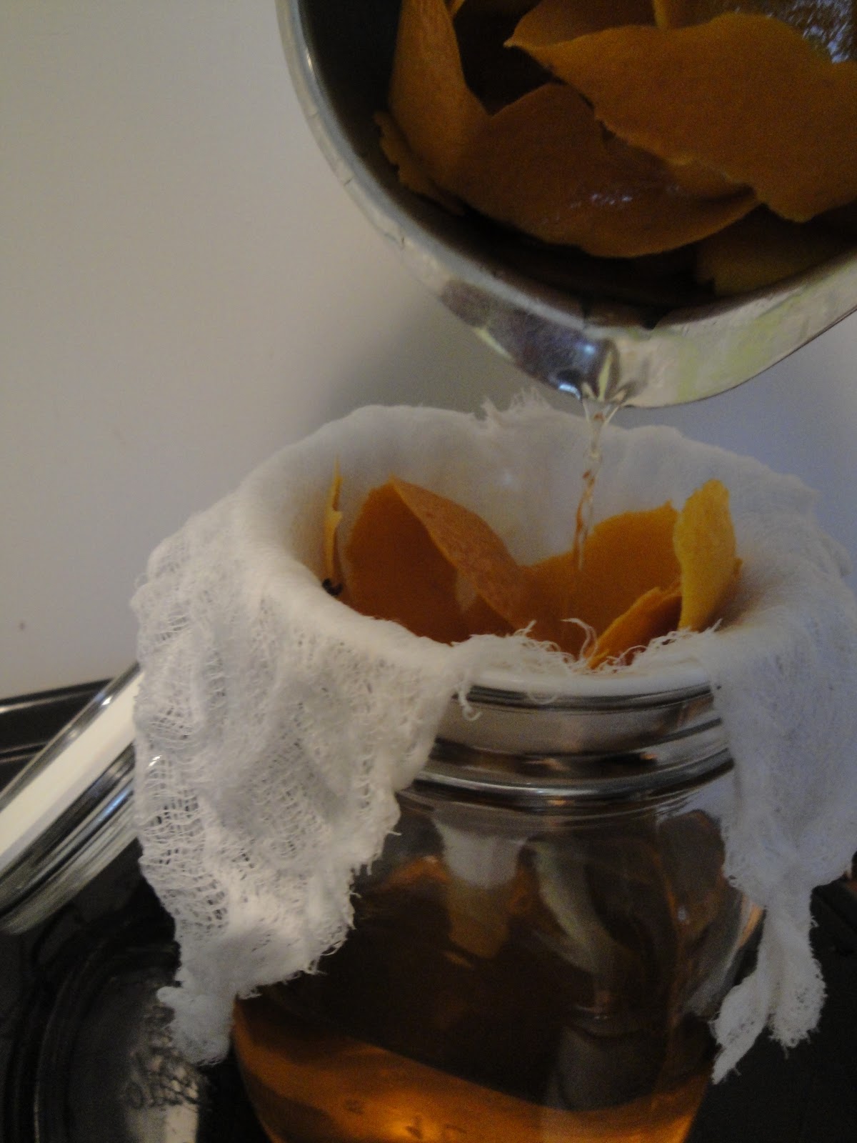 Luscious Domestic Orange Peel Liqueur