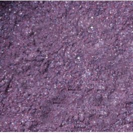 [617JIEdqu3L._SS265_.jpg]