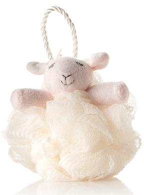 [pBBW1-4812080dt.jpg]